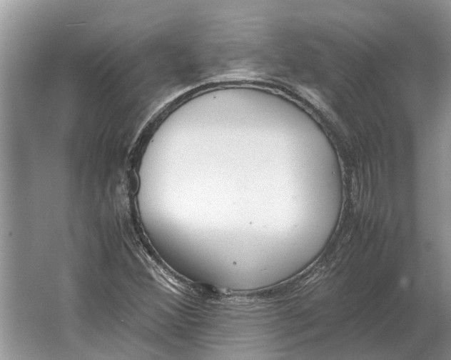 X0000064771356200603031814