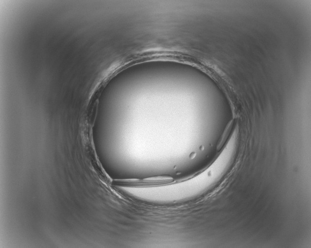 X0000064771357200603031814