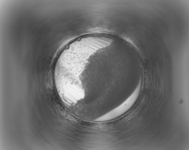 X0000064771358200603031814