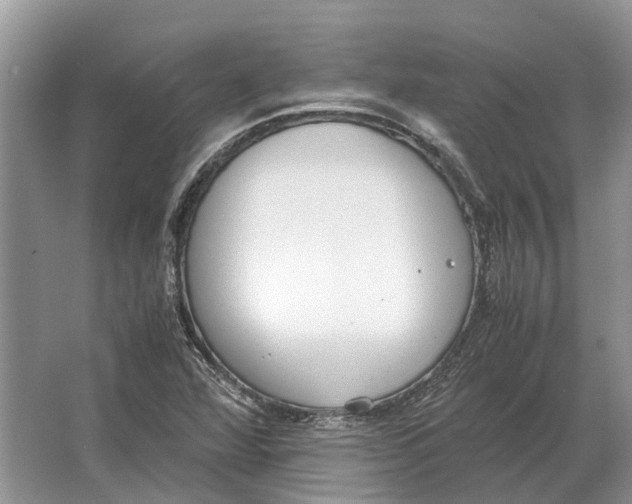 X0000064771360200603031814