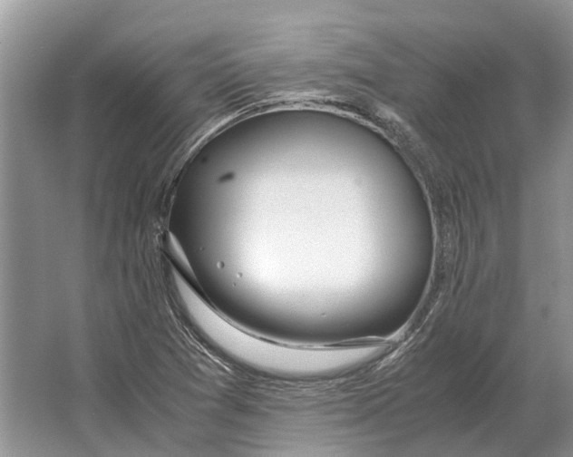 X0000064771361200603031814