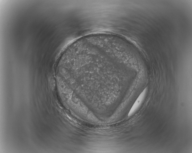 X0000064771363200603031814