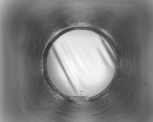 X0000064771364200603031814