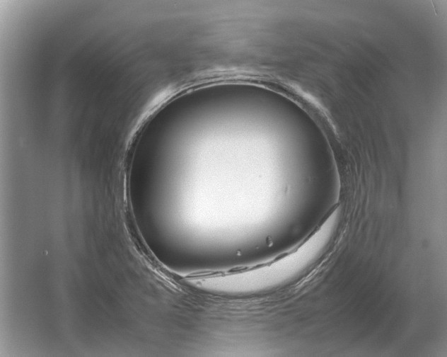 X0000064771365200603031814