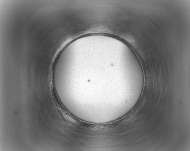 X0000064771366200603031814