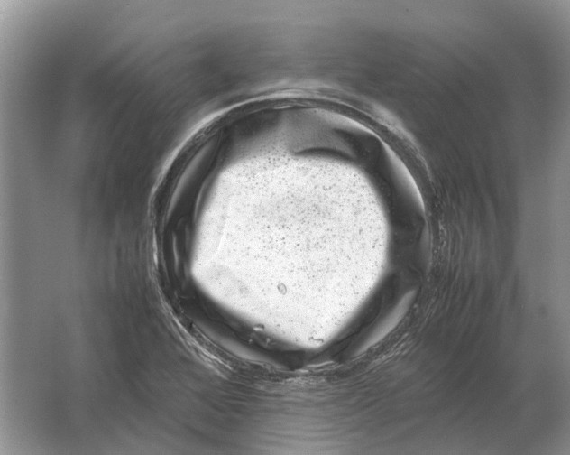 X0000064771368200603031814