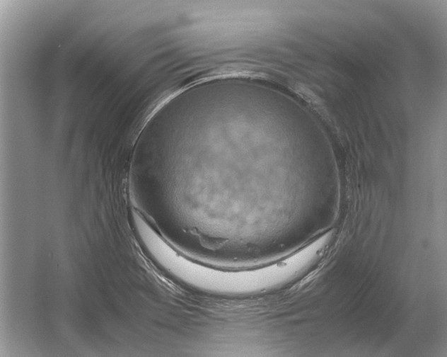 X0000064771369200603031814