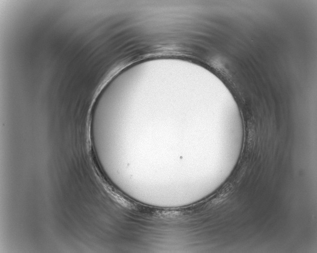 X0000064771370200603031814