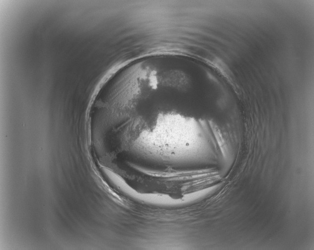 X0000064771371200603031814