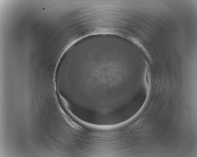 X0000064771372200603031814