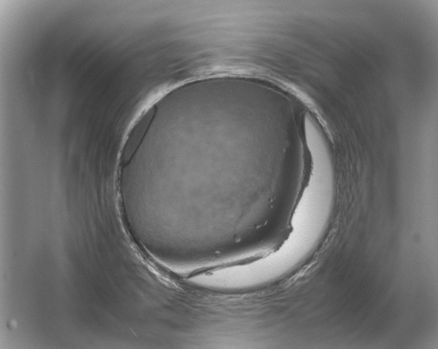 X0000064771373200603031814