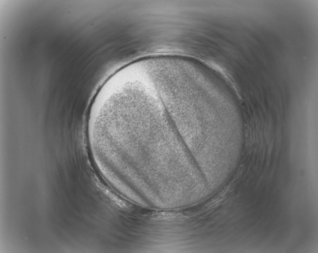 X0000064771374200603031814