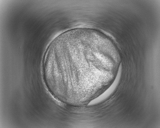 X0000064771375200603031814