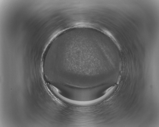 X0000064771376200603031814