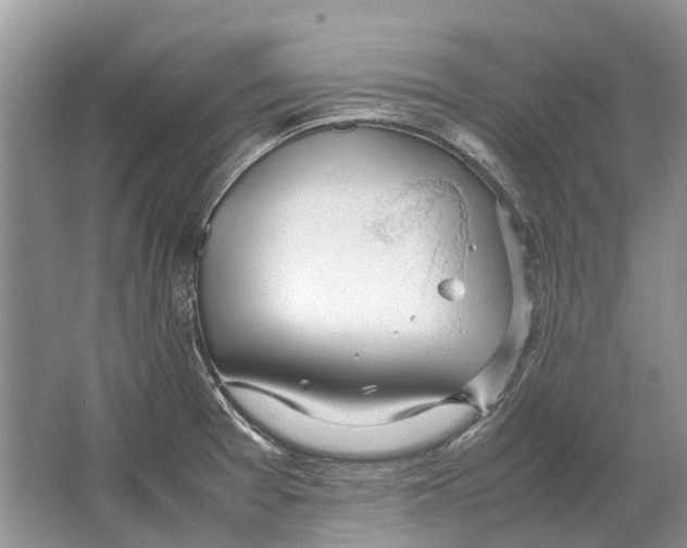 X0000064771377200603031814