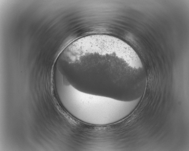 X0000064771378200603031814