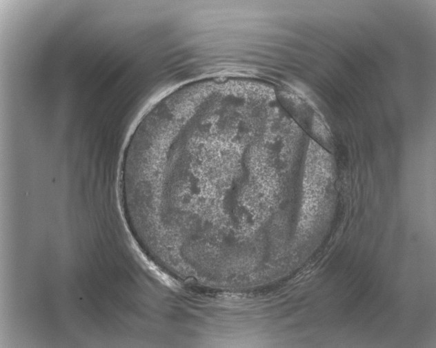 X0000064771379200603031814