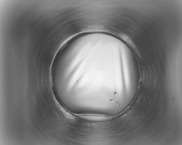 X0000064771380200603031814