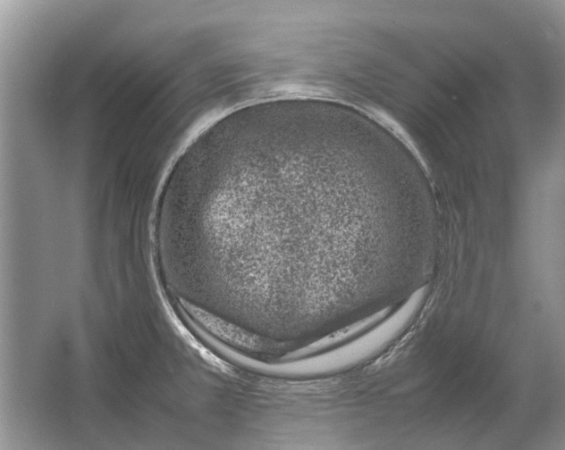 X0000064771381200603031814