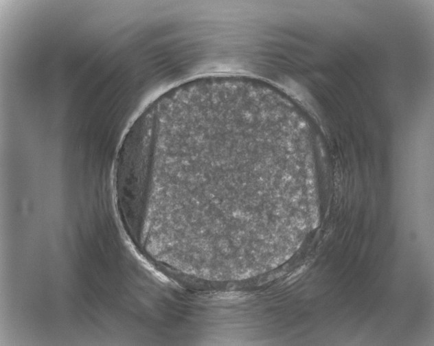 X0000064771382200603031814