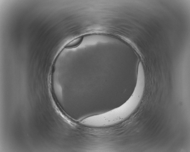 X0000064771383200603031814