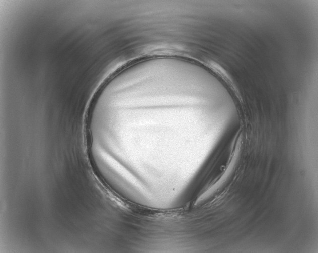 X0000064771384200603031814