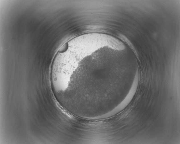 X0000064771386200603031814