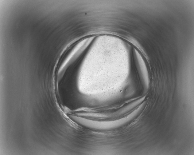 X0000064771388200603031814