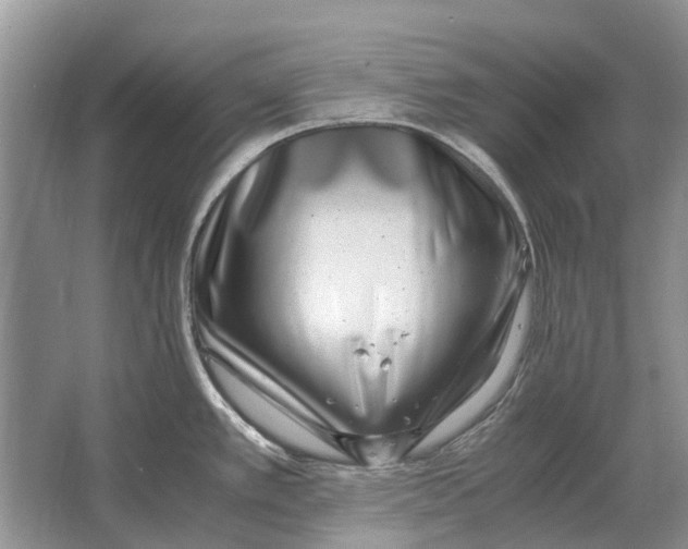 X0000064771389200603031814