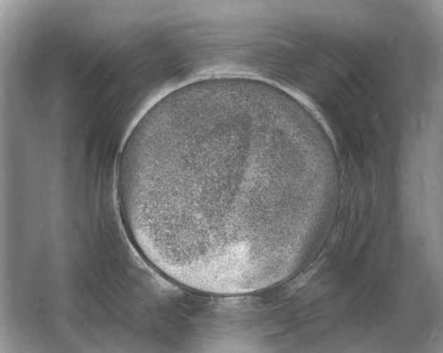 X0000064771390200603031814