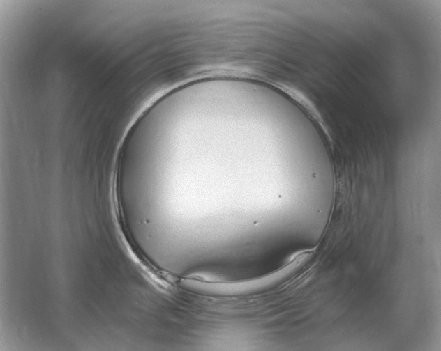 X0000064771391200603031814