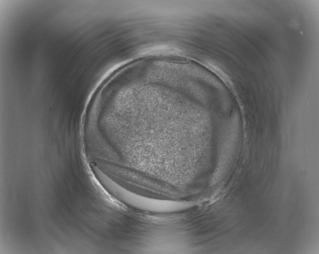 X0000064771392200603031814