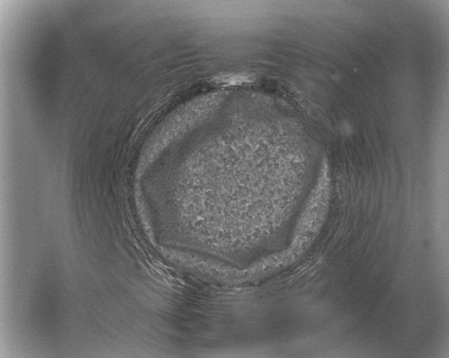 X0000064771393200603031813