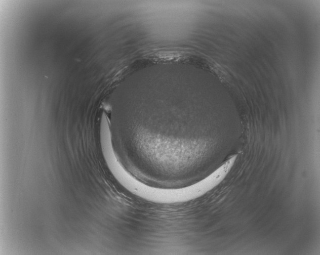 X0000064771394200603031813