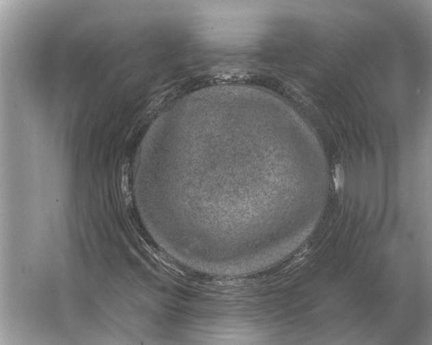 X0000064771396200603031813