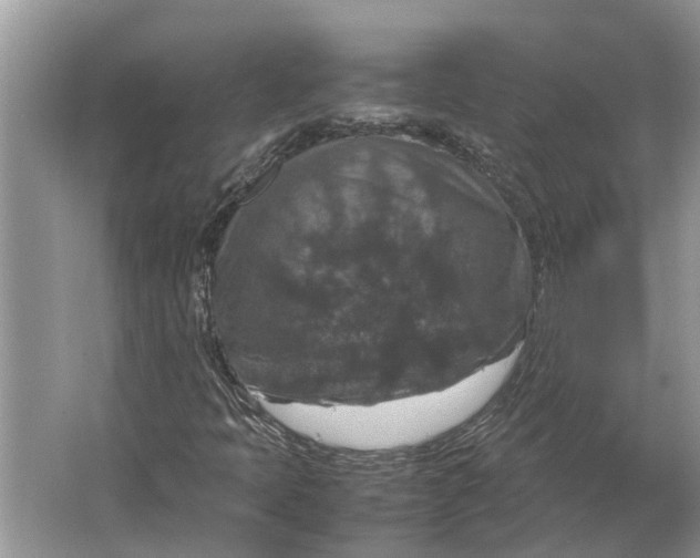 X0000064771397200603031813