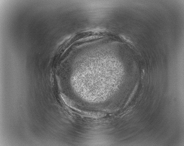 X0000064771398200603031813