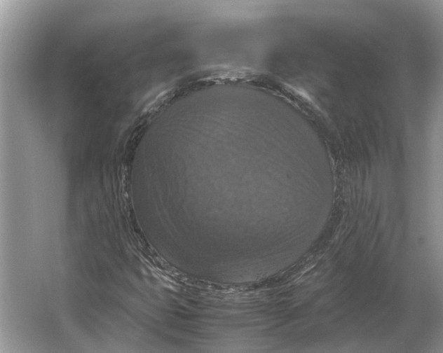 X0000064771399200603031813