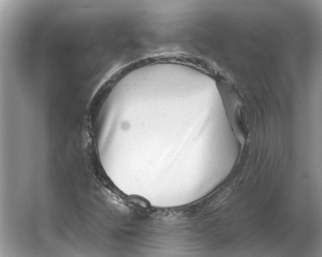 X0000064771400200603031813