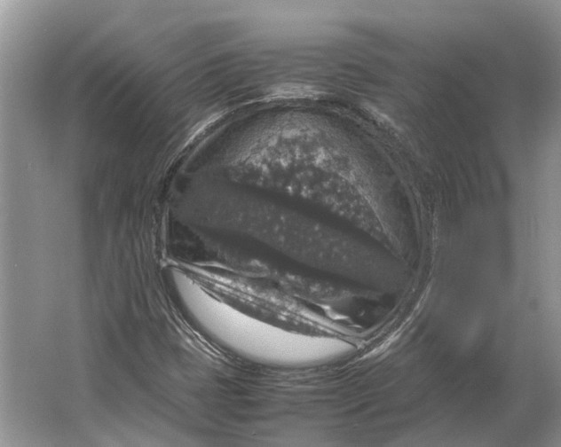 X0000064771401200603031813