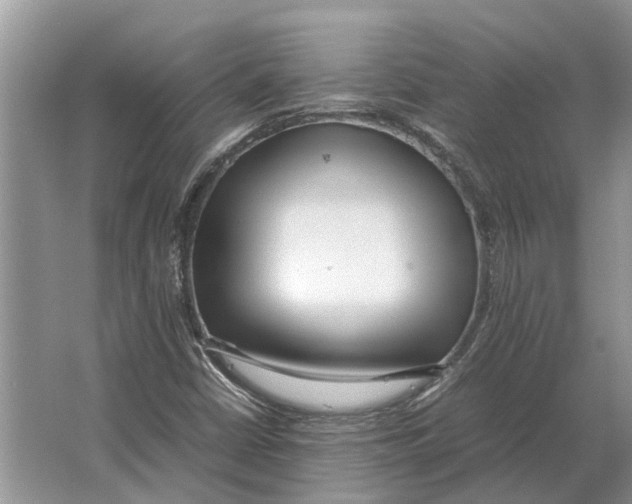 X0000064771402200603031813