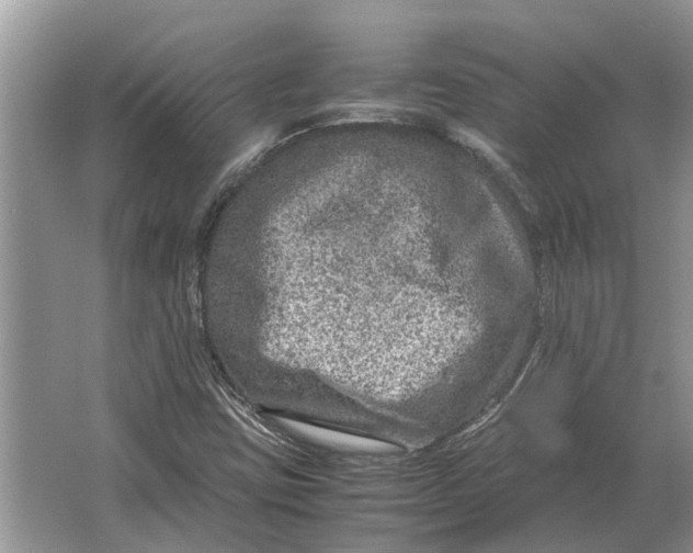 X0000064771403200603031813