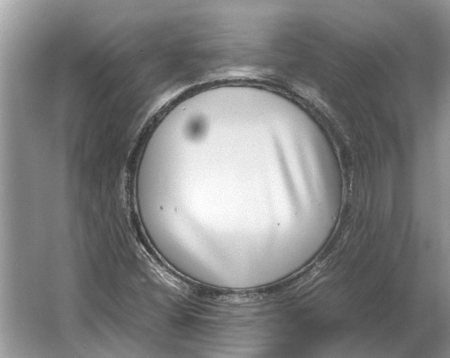 X0000064771404200603031813