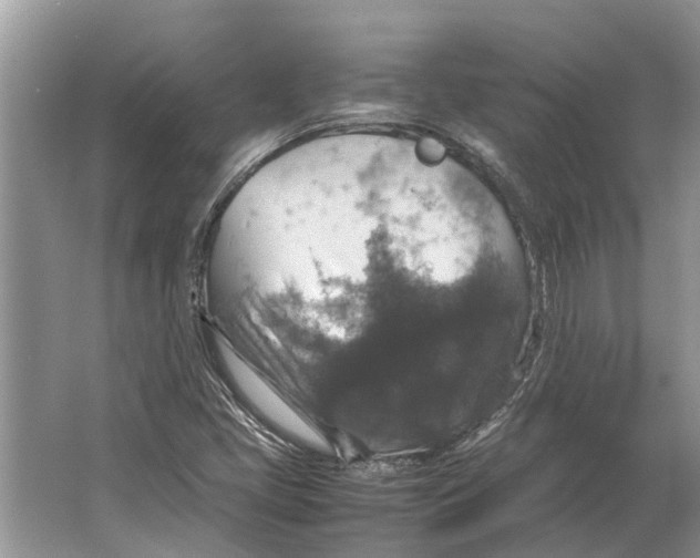 X0000064771405200603031813