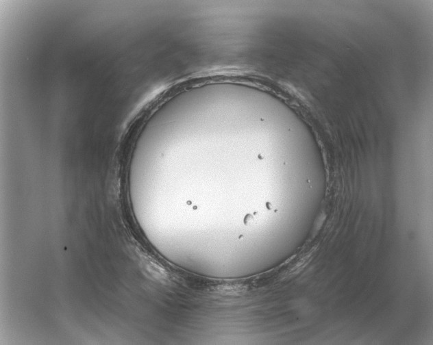 X0000064771406200603031813