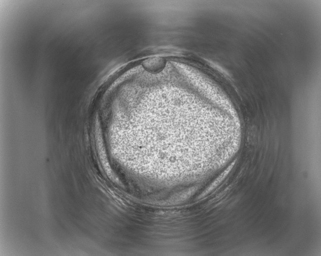 X0000064771407200603031813