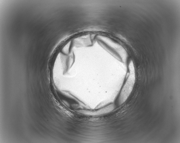 X0000064771408200603031813