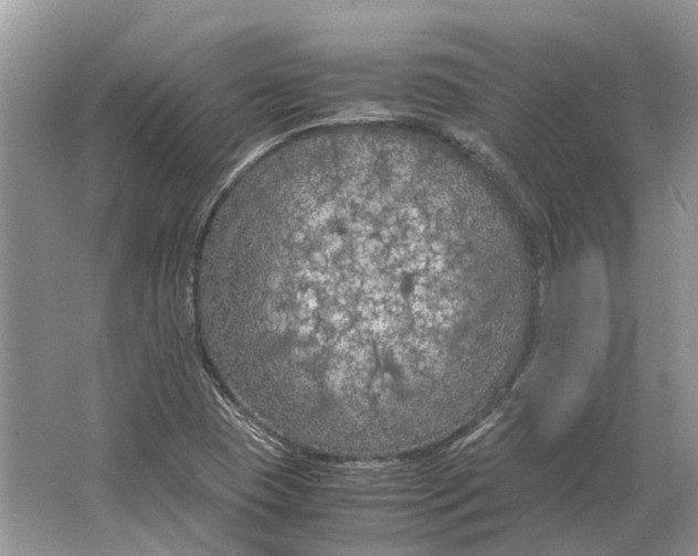 X0000064771409200603031813