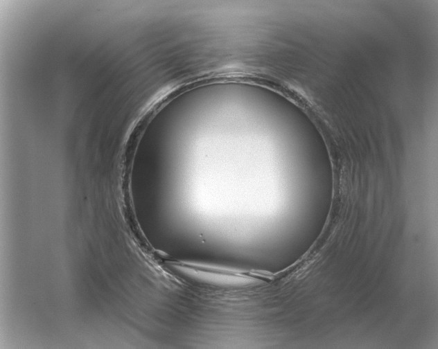 X0000064771410200603031813