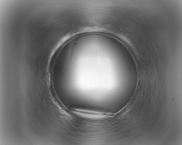 X0000064771414200603031813